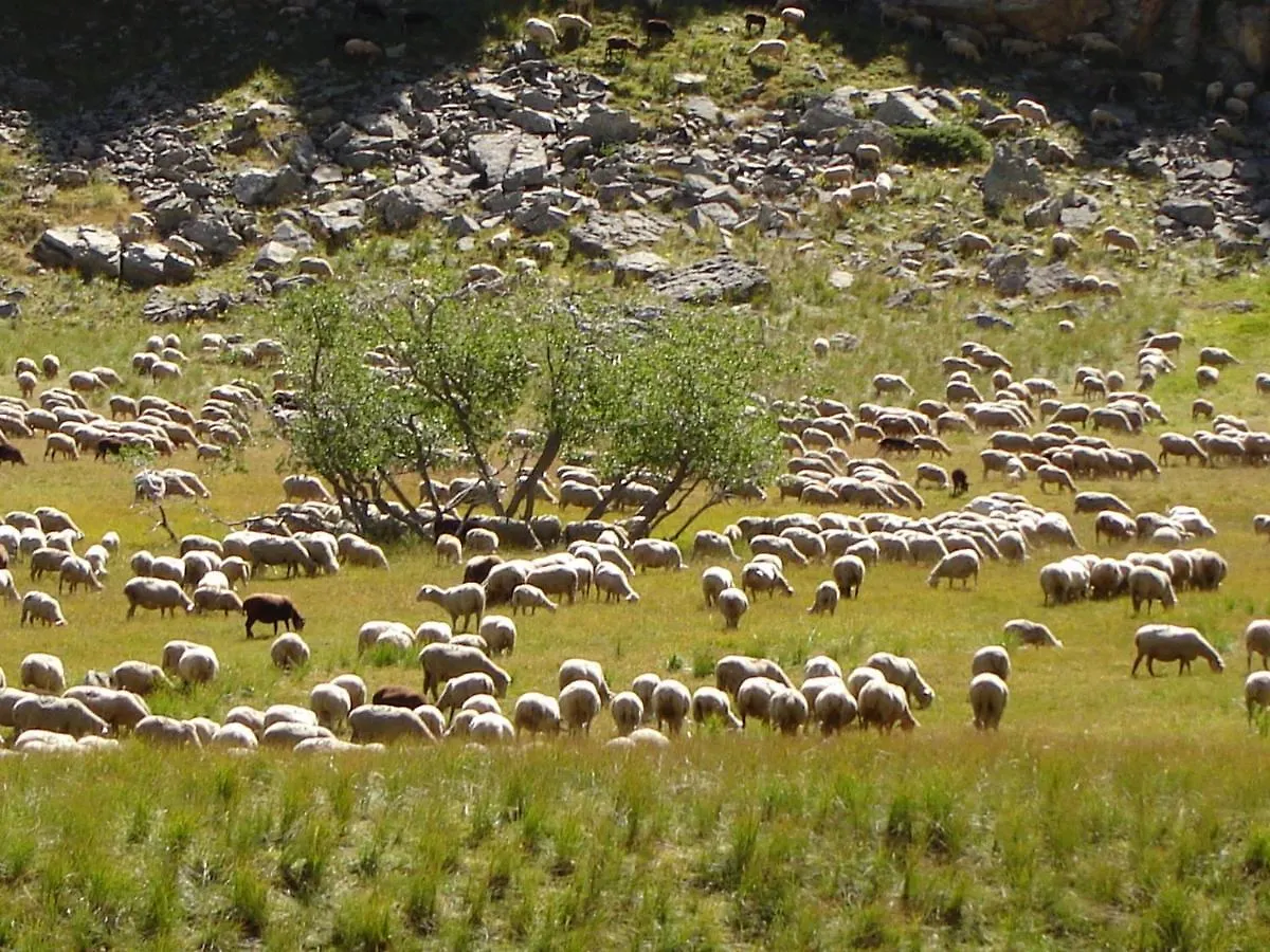 La petite étoile d'hôtes en Mercantour Saint-Dalmas-le-Selvage Francia