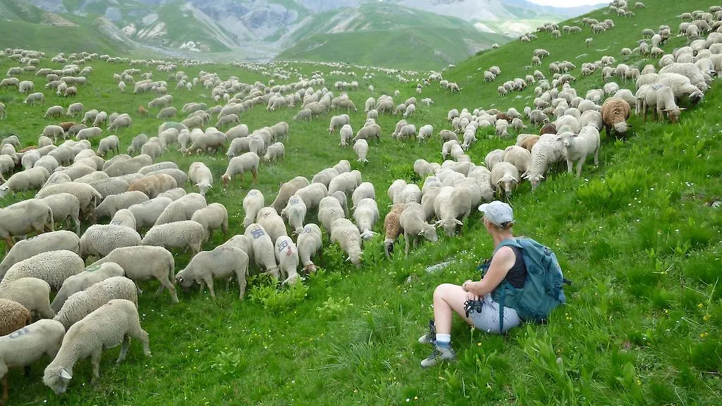 La Petite Etoile D'Hotes En Mercantour Saint-Dalmas-le-Selvage 0*,  Frankreich
